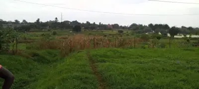 Mamdani’s Land Holding in Uganda Clashes With Socialist Intentions for New York City Property Owners