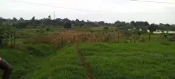 Mamdani’s Land Holding in Uganda Clashes With Socialist Intentions for New York City Property Owners