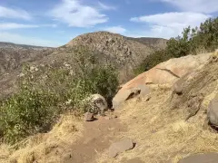 Mission Trails’ brush management continues to serve a valuable purpose